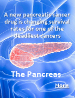 The pancreas is a gland located behind the stomach that plays a crucial role in digestion and blood sugar regulation. It produces digestive enzymes and hormones like insulin and glucagon to manage blood sugar levels. It is also a gland that can be hit with one of the most fatal cancers. Both my dad and grandmother died of it. 